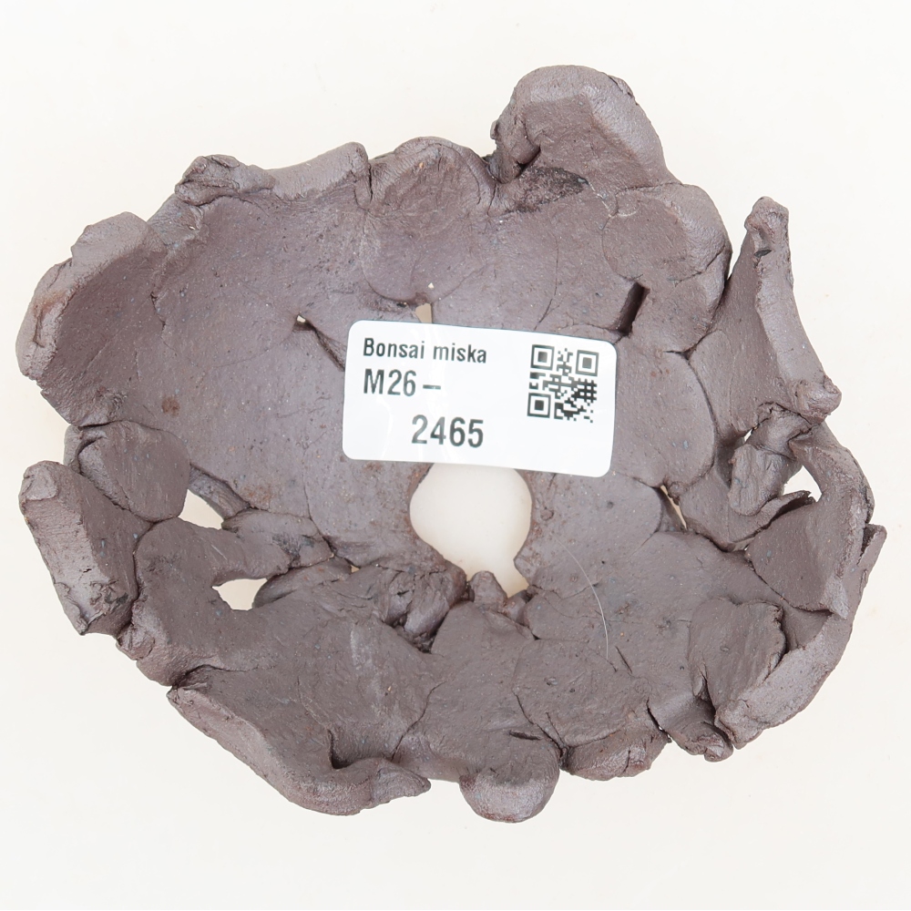 Ceramic Shell  10.5 x 9.5 x 5 cm, metallic color