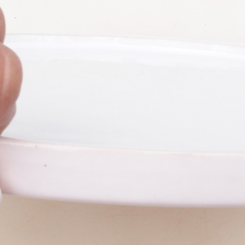 Bonsai bowl round D7-L - 28 x 28 x 1.5 cm - white