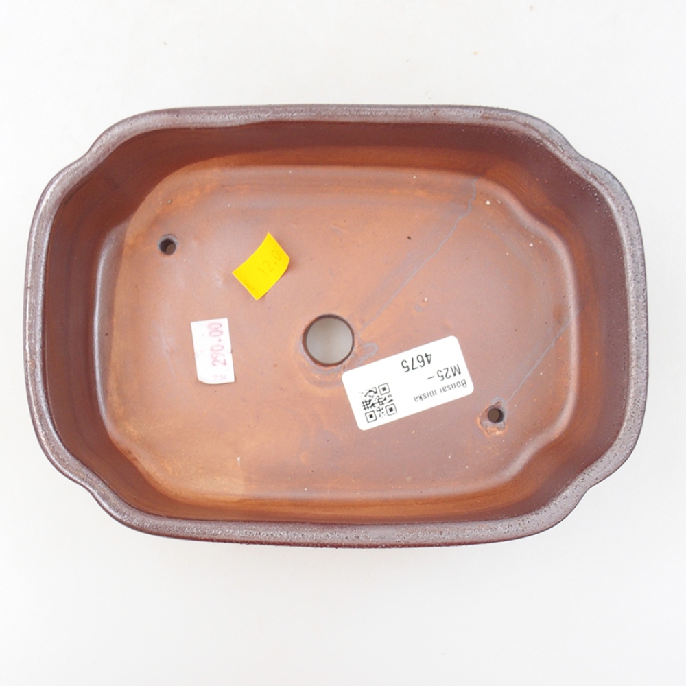 Ceramic bonsai bowl 18 x 13 x 5 cm, color brown