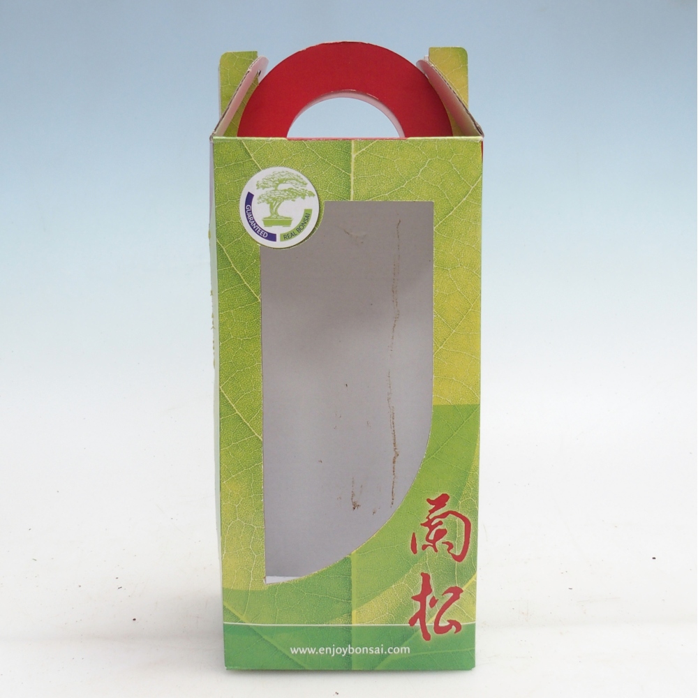 Gift bonsai box - paper