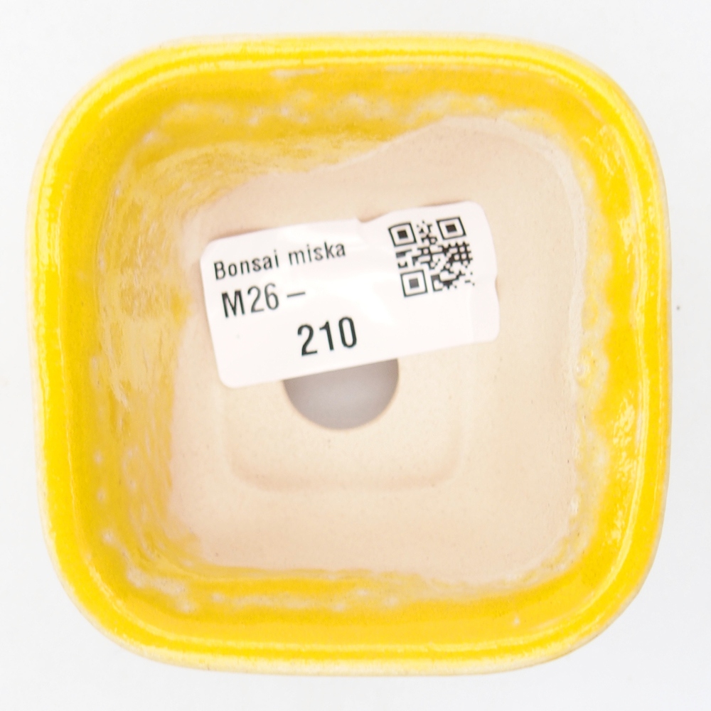 Mini bonsai bowl 6,5 x 6,5 x 4,5 cm, yellow