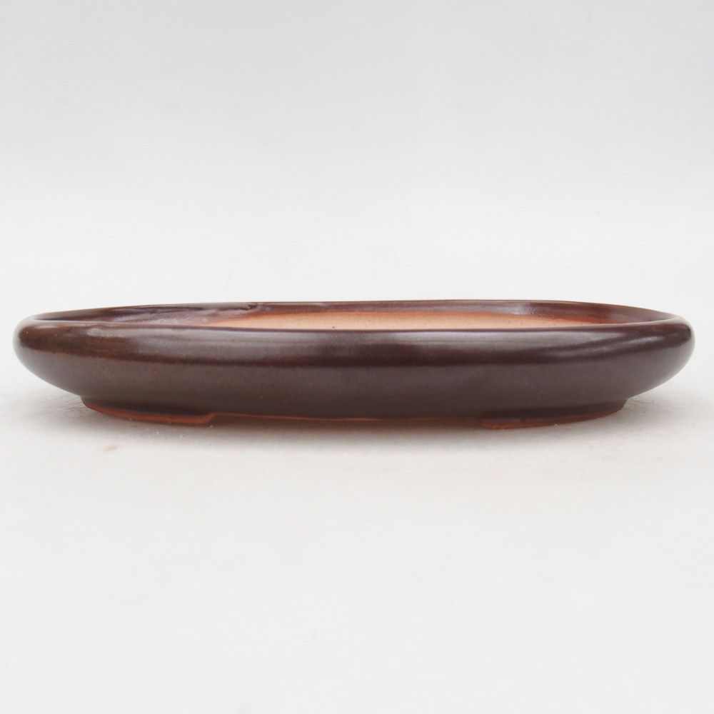 Ceramic bonsai bowl 22 x 17 x 3 cm, brown