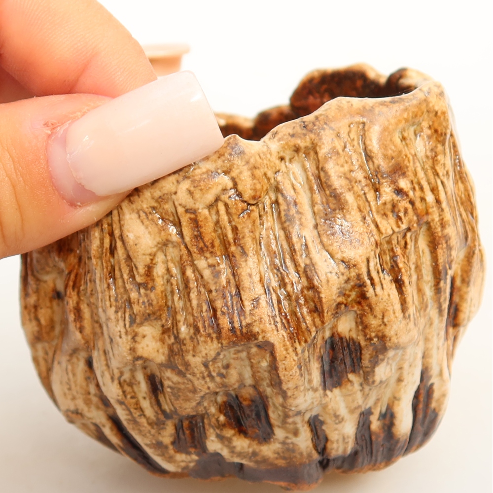 Ceramic Shell, 7 x 7 x 6.5 cm, white-brown