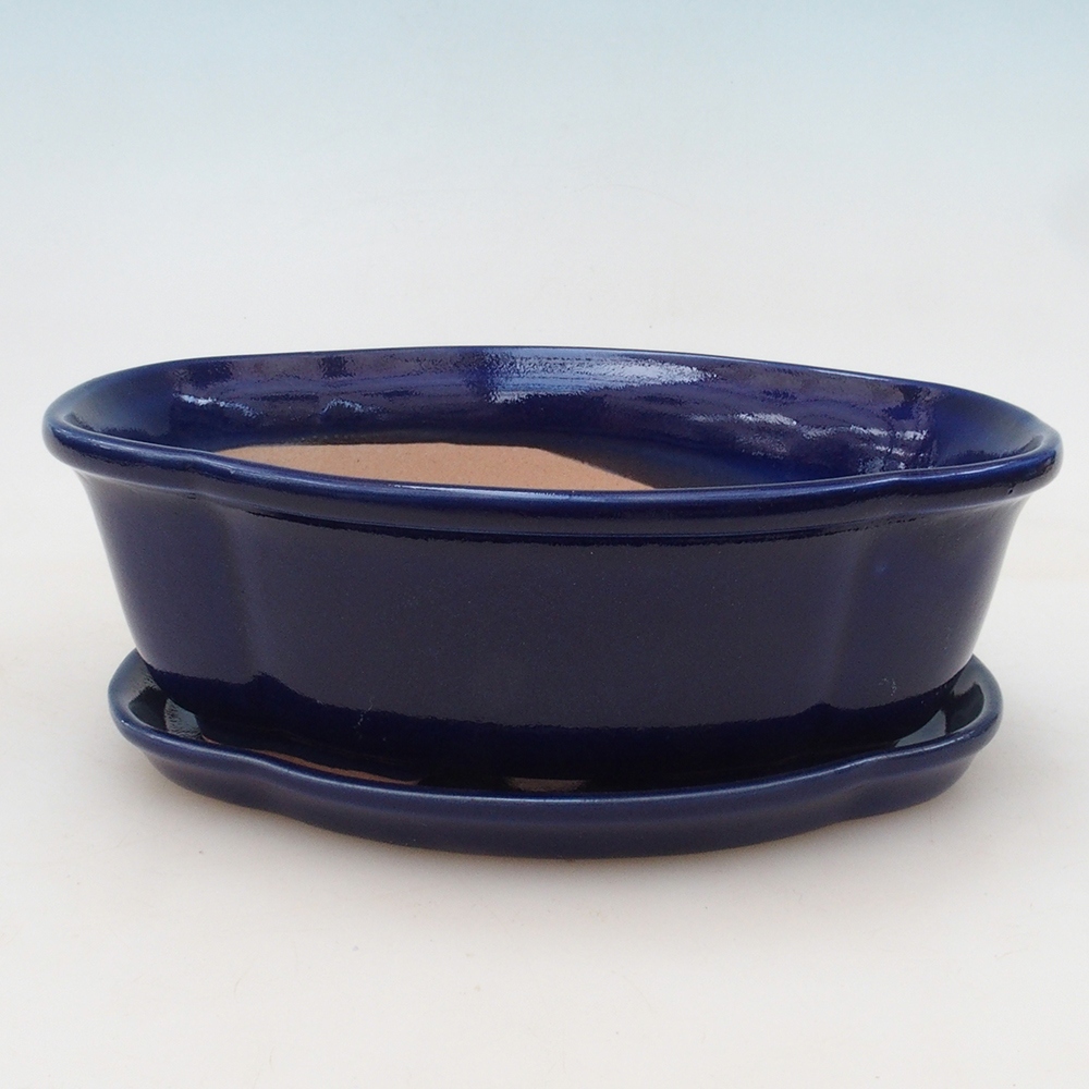 Bonsai bowl + saucer H75 - blue
