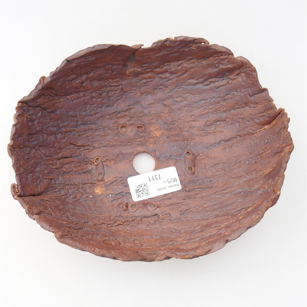 Ceramic shell 20 x 16 x 6 cm , colour brown