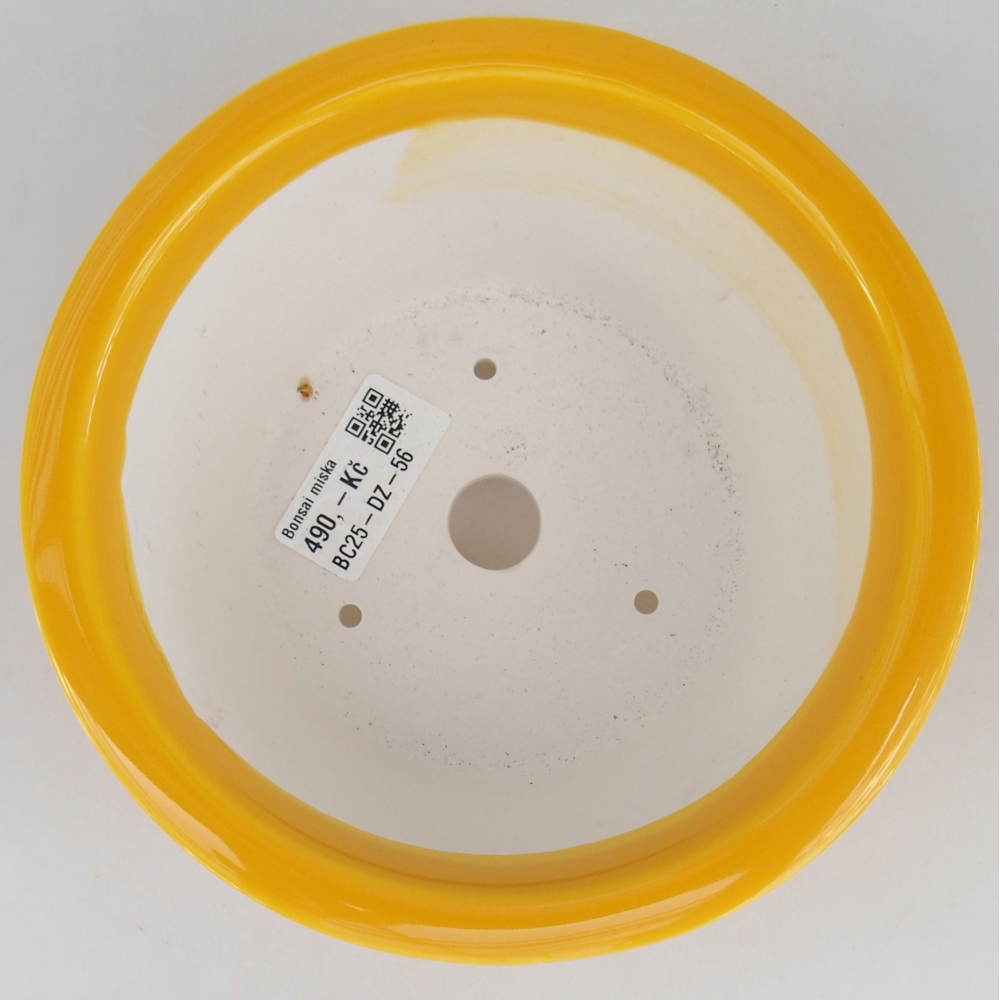 Ceramic bonsai bowl 16 x 16 x 8,5 cm, yellow