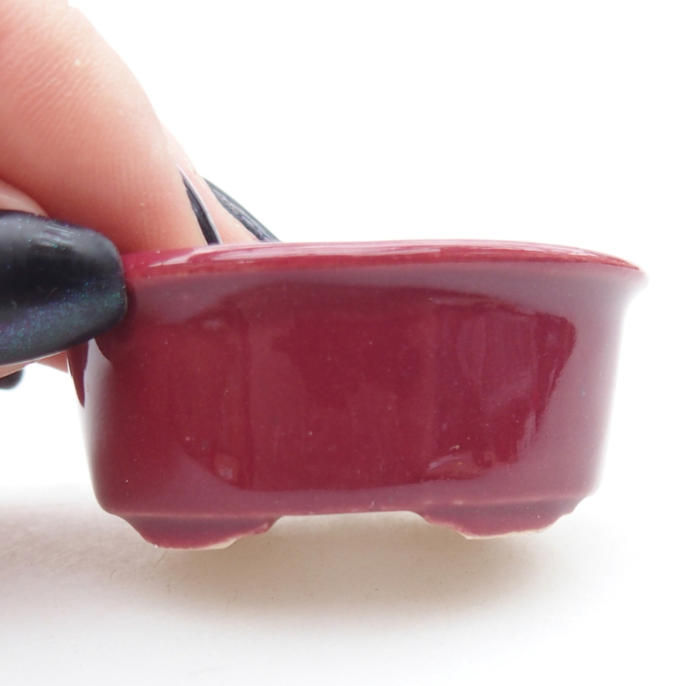 Mini bonsai bowl 4,5 x 4 x 2 cm, burgundy