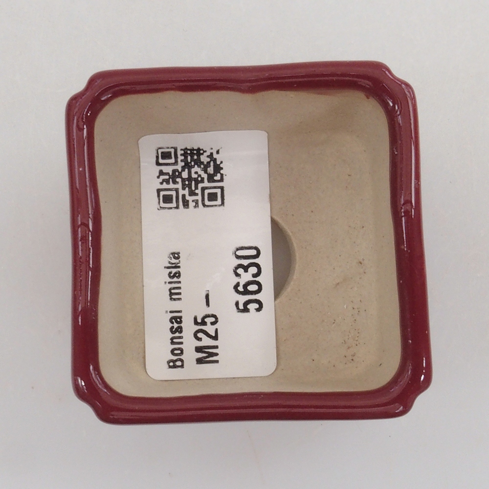 Mini bonsai bowl 4,5 x 4,5 x 3 cm, color burgundy