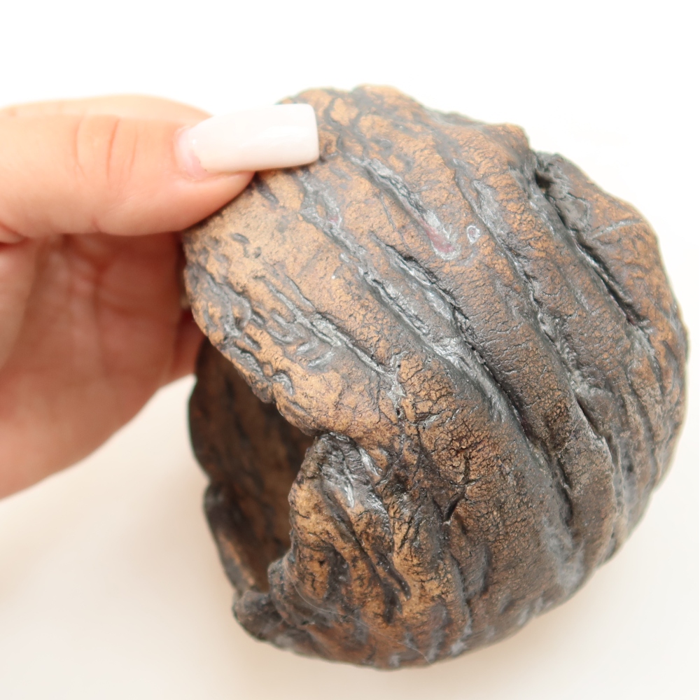 Ceramic Shell  10 x 10 x 11 cm, brown
