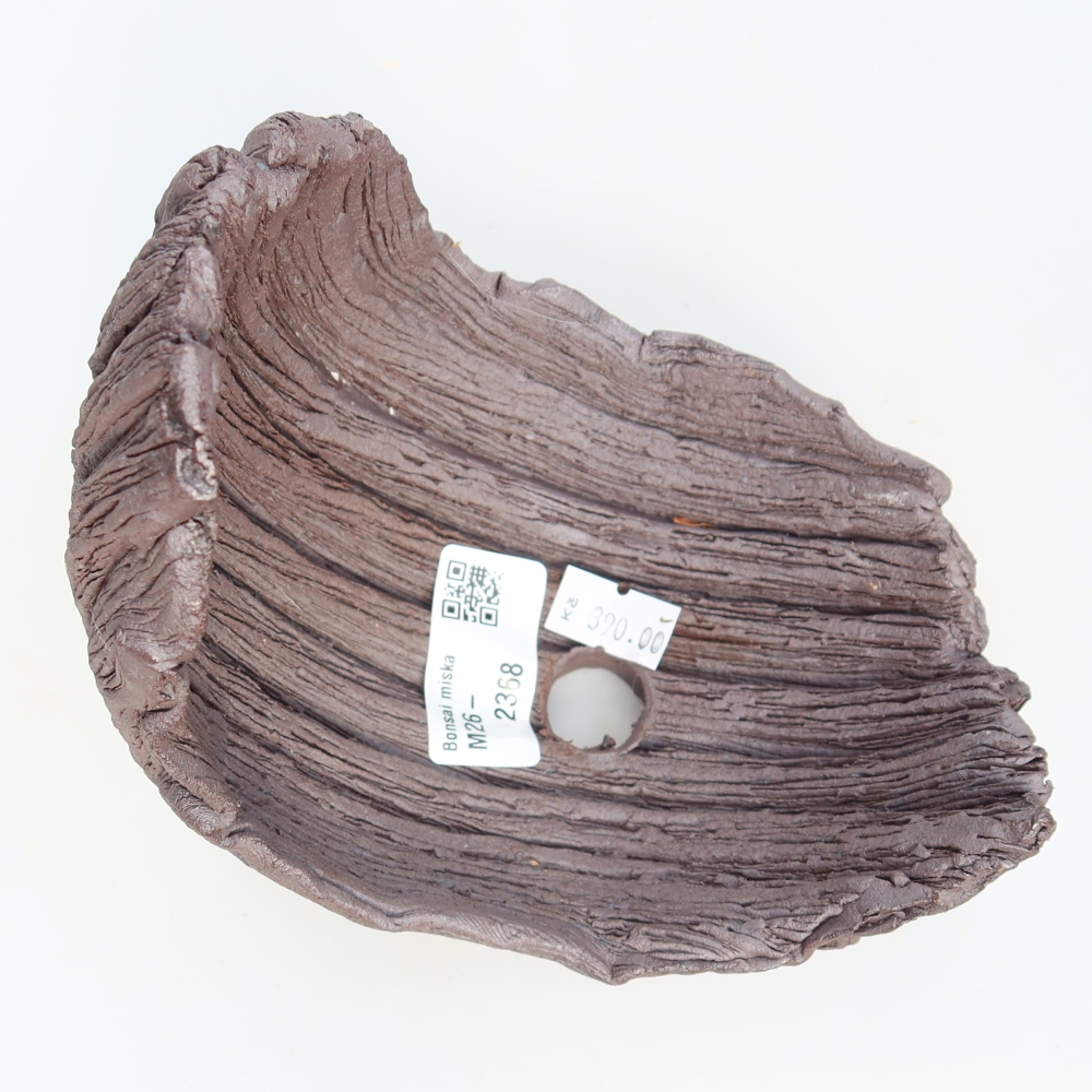 Ceramic Shell  13.5 x 11 x 13.5 cm, brown