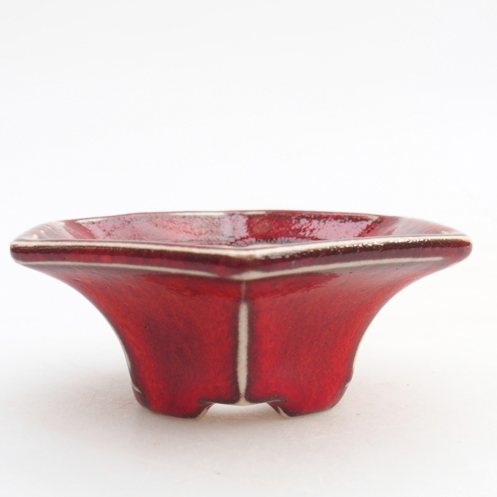 Mini bonsai bowl 8 x 7 x 3 cm, colour red