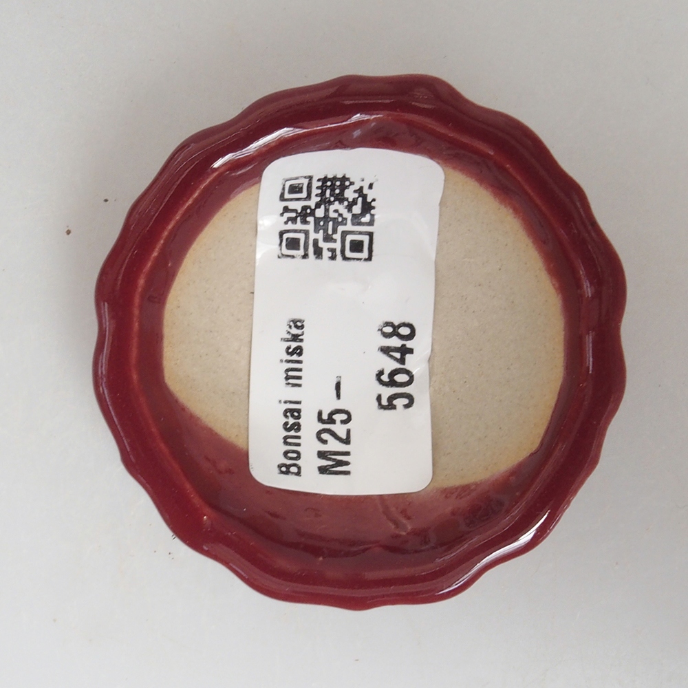 Mini bonsai bowl 5 x 5 x 1,5 cm, color burgundy