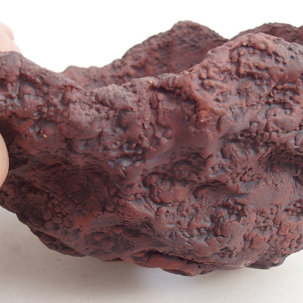 Ceramic Shell 13 x 11 x 12 cm , colour brown