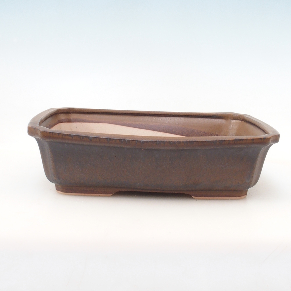 Bonsai bowl H07 - 30 x 20.5 x 8 cm. - brown