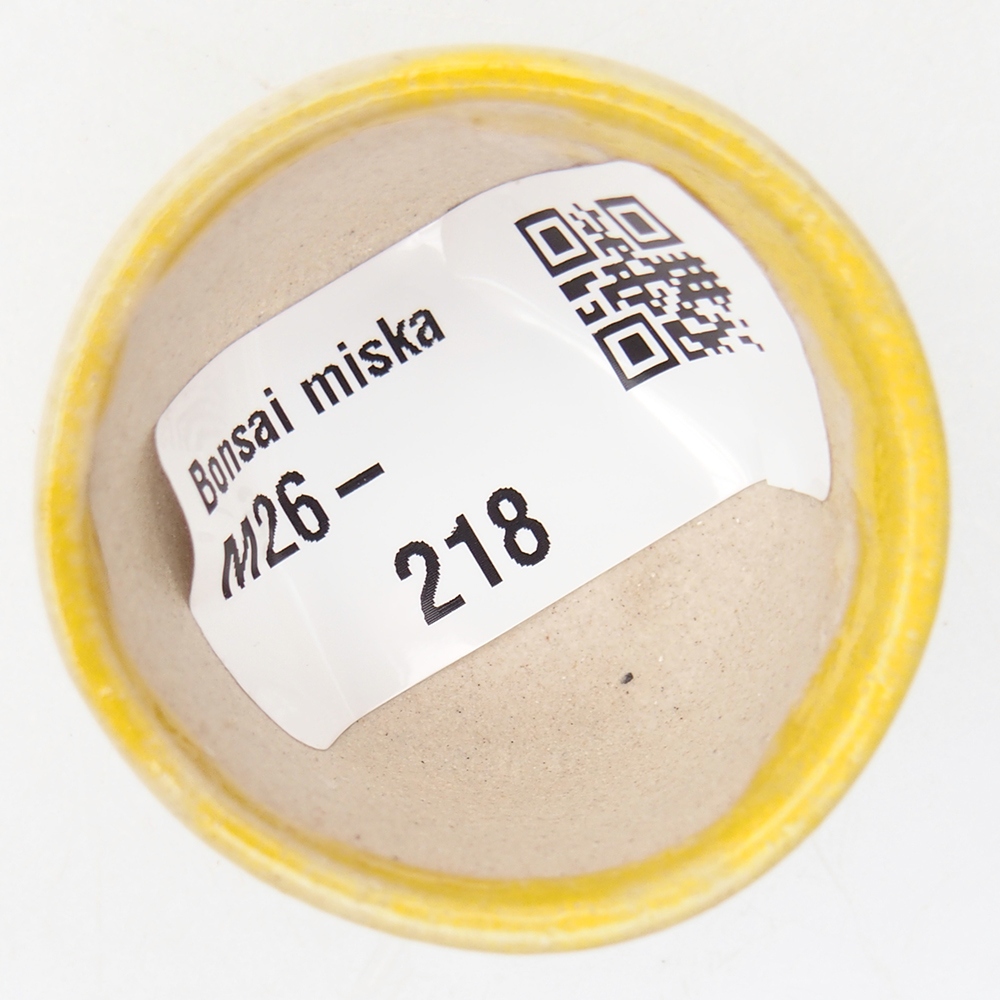 Mini bonsai bowl 4 x 4 x 2,5 cm, yellow