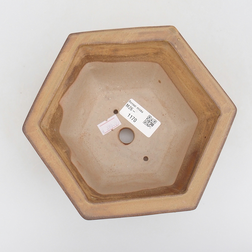 Ceramic bonsai bowl 18 x 16 x 9 cm, colour beige