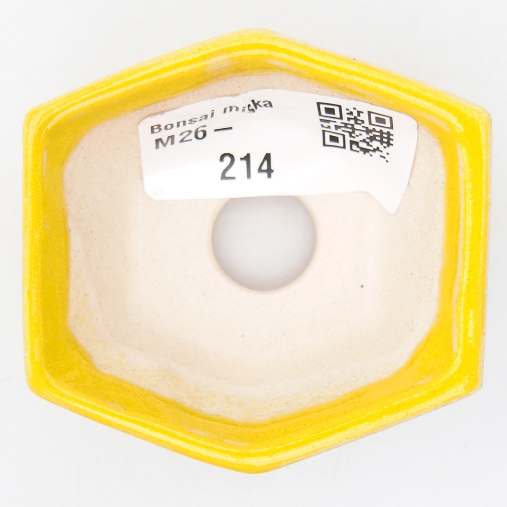 Mini bonsai bowl 6 x 5,5 x 2,5 cm, yellow