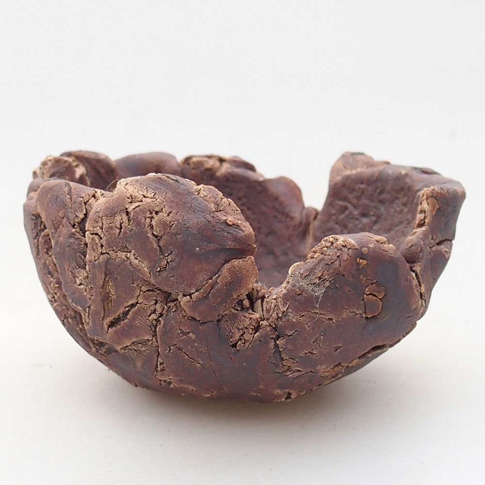 Ceramic Shell 10 x 9 x 5,5 cm , colour brown