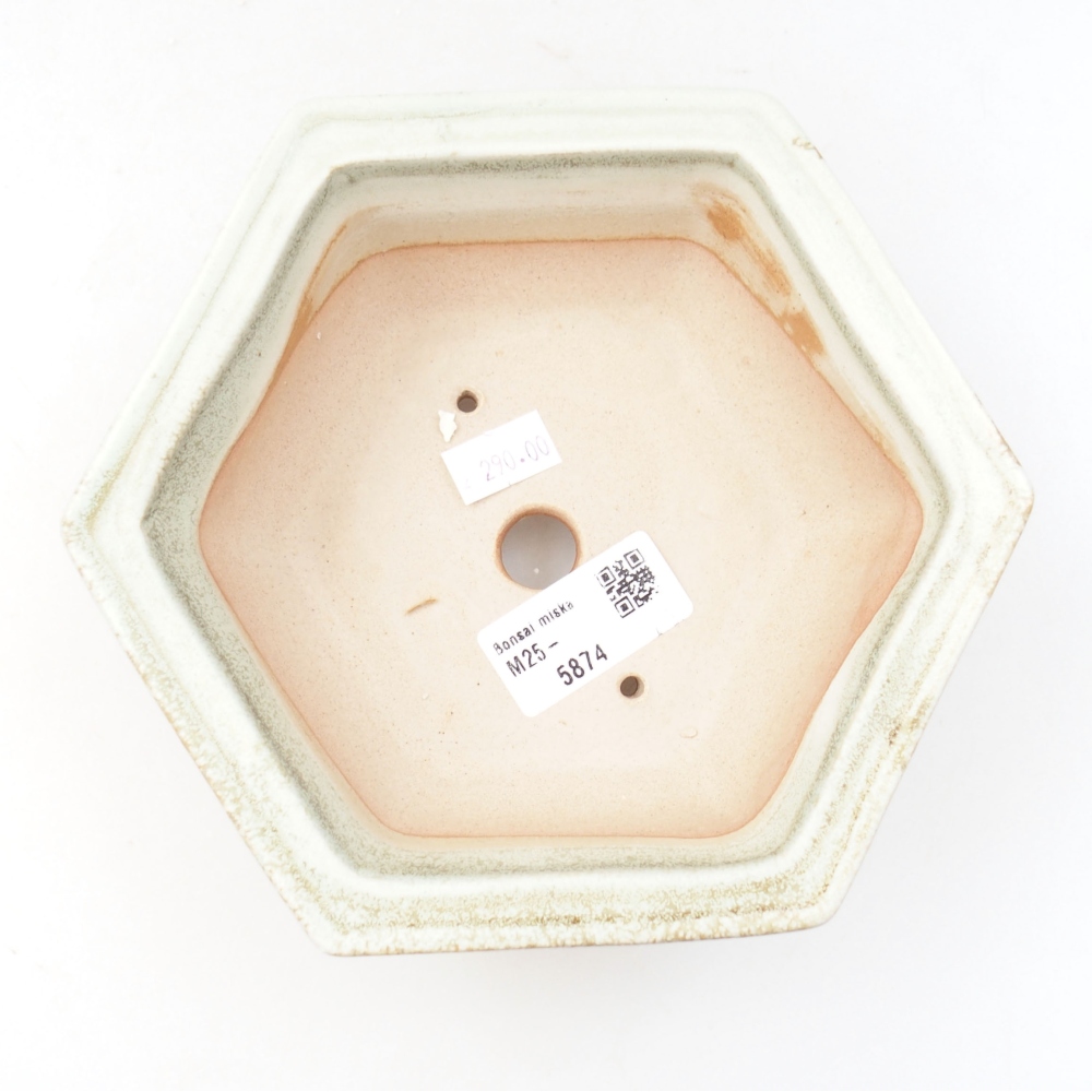 Ceramic bonsai bowl 17 x 15 x 6 cm, color green