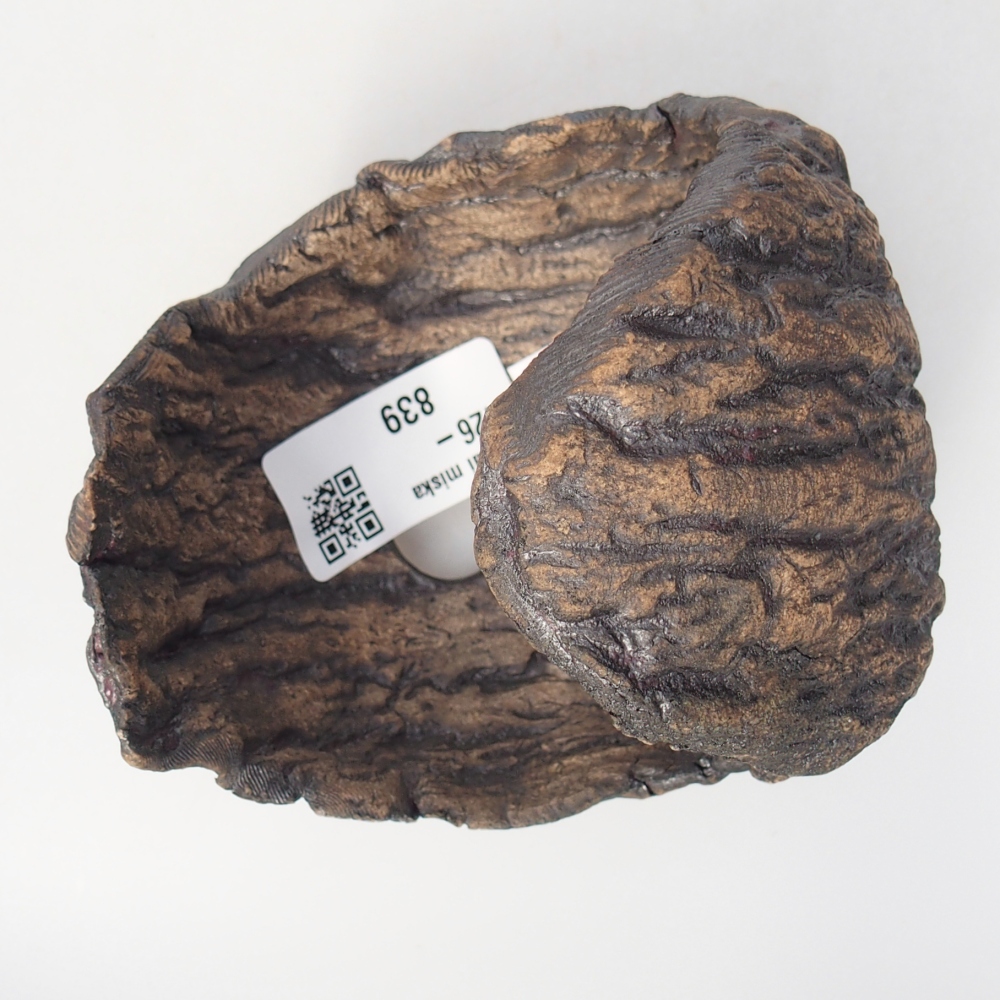 Ceramic Shell 10 x 9 x 10 cm , colour brown