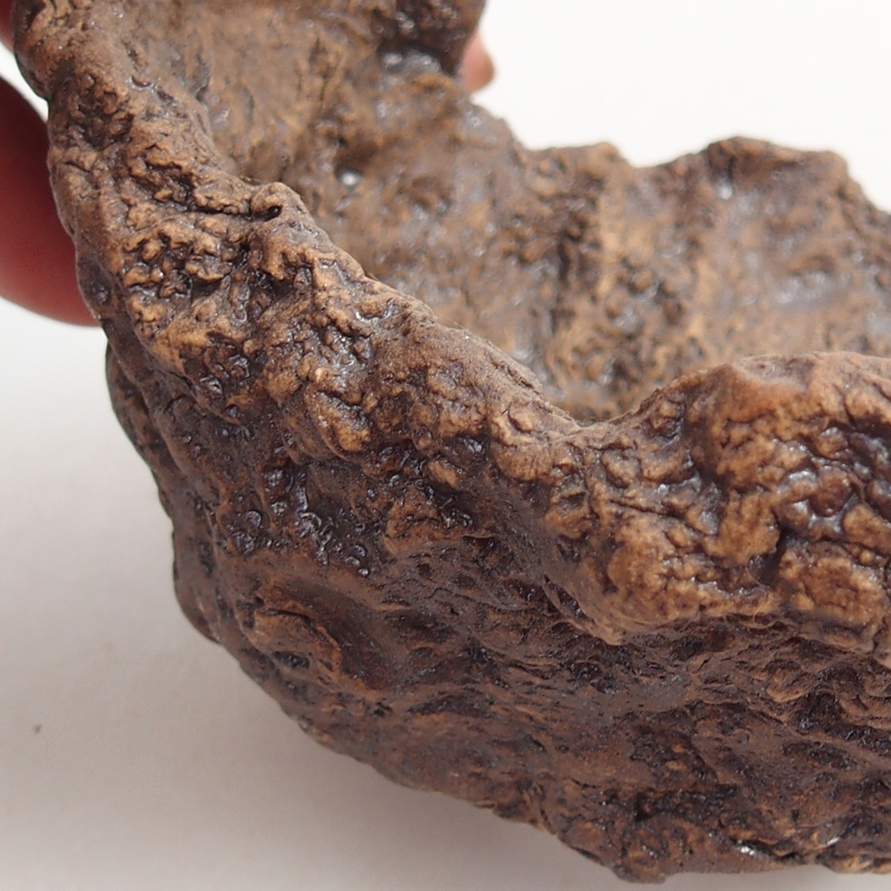 Ceramic Shell 10 x 9 x 9 cm , colour brown