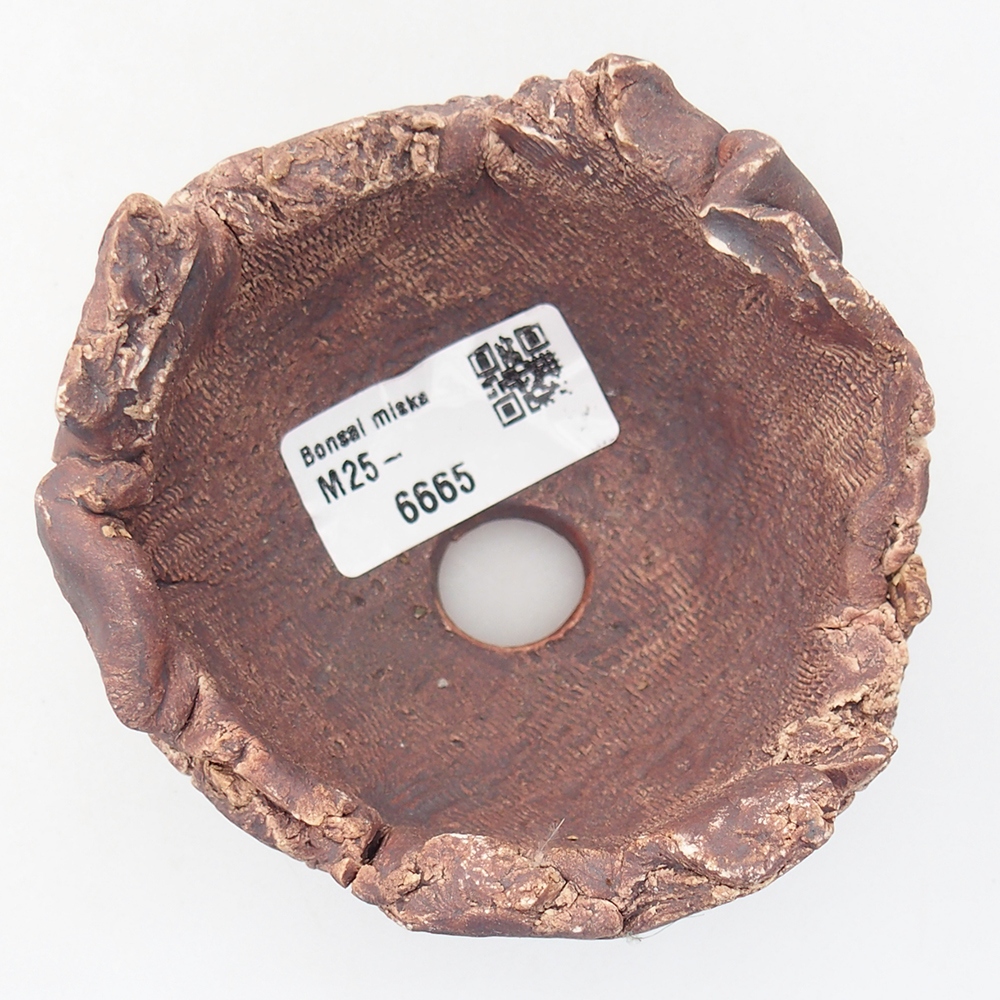 Ceramic Shell 9,5 x 9 x 7 cm , colour brown