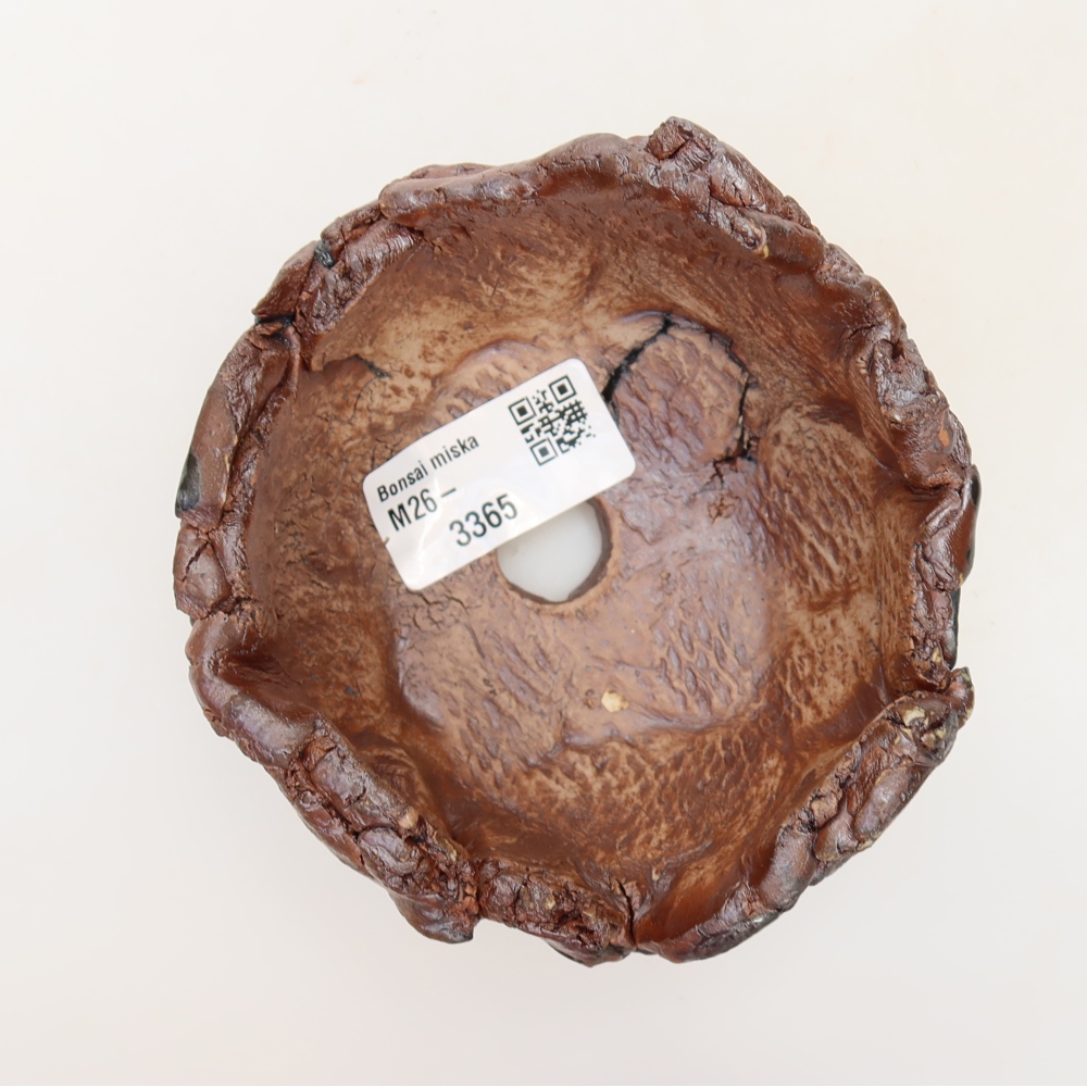 Ceramic Shell, 11 x 10 x 6 cm, brown