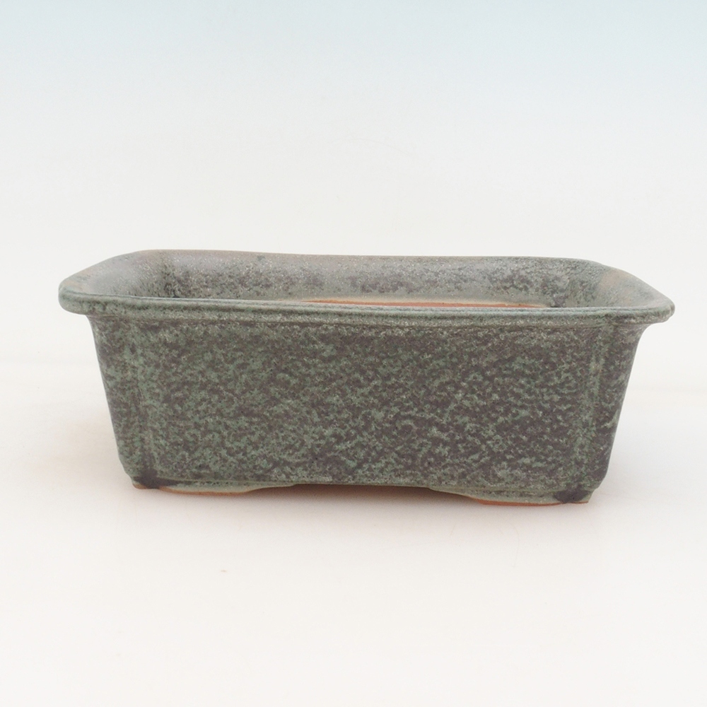 Bonsai saucer H50 - 17 x 12.5 x 5.5 cm.