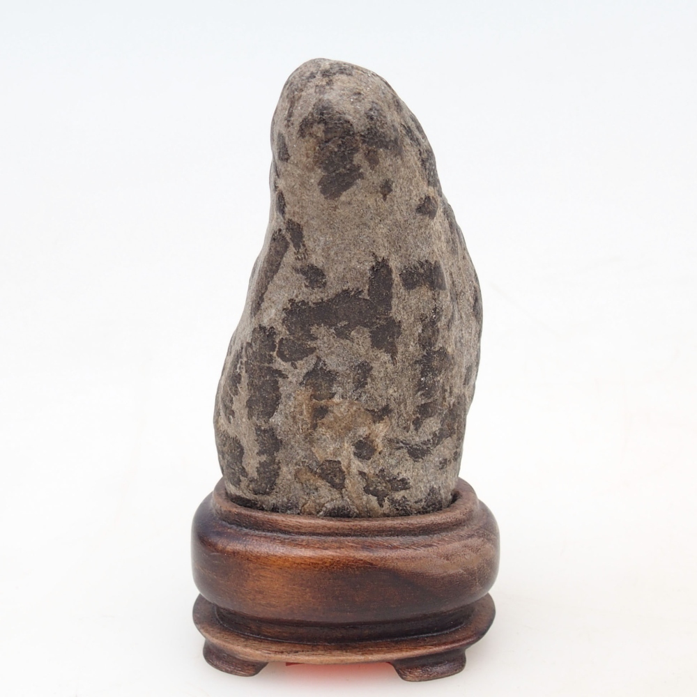 Suiseki - Stone with DAI (wooden pad)