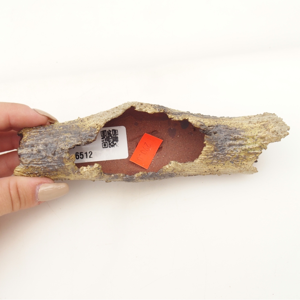Ceramic shell 15 x 4,5 x 3 cm , yellow