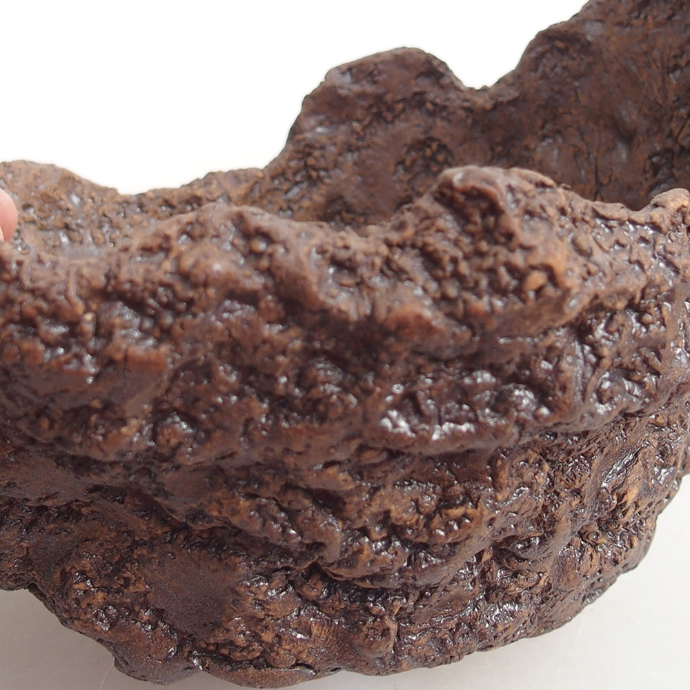 Ceramic shell 14 x 12 x 13 cm , colour brown