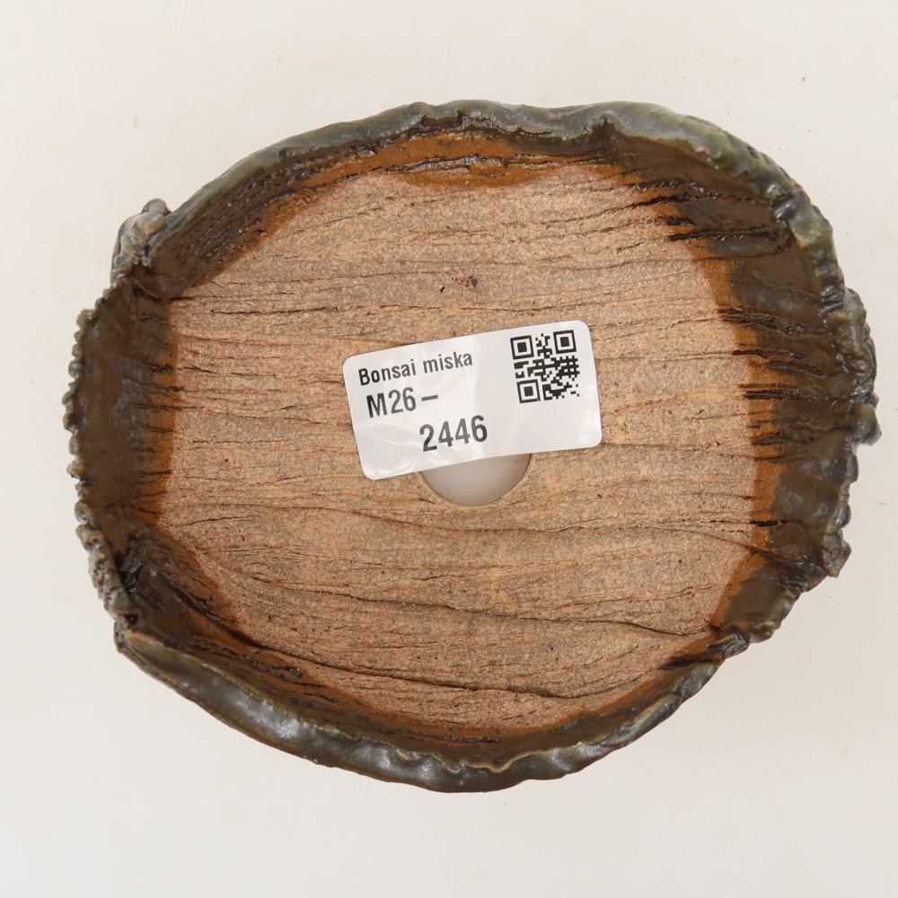 Ceramic Shell  10 x 9.5 x 7 cm, brown-green