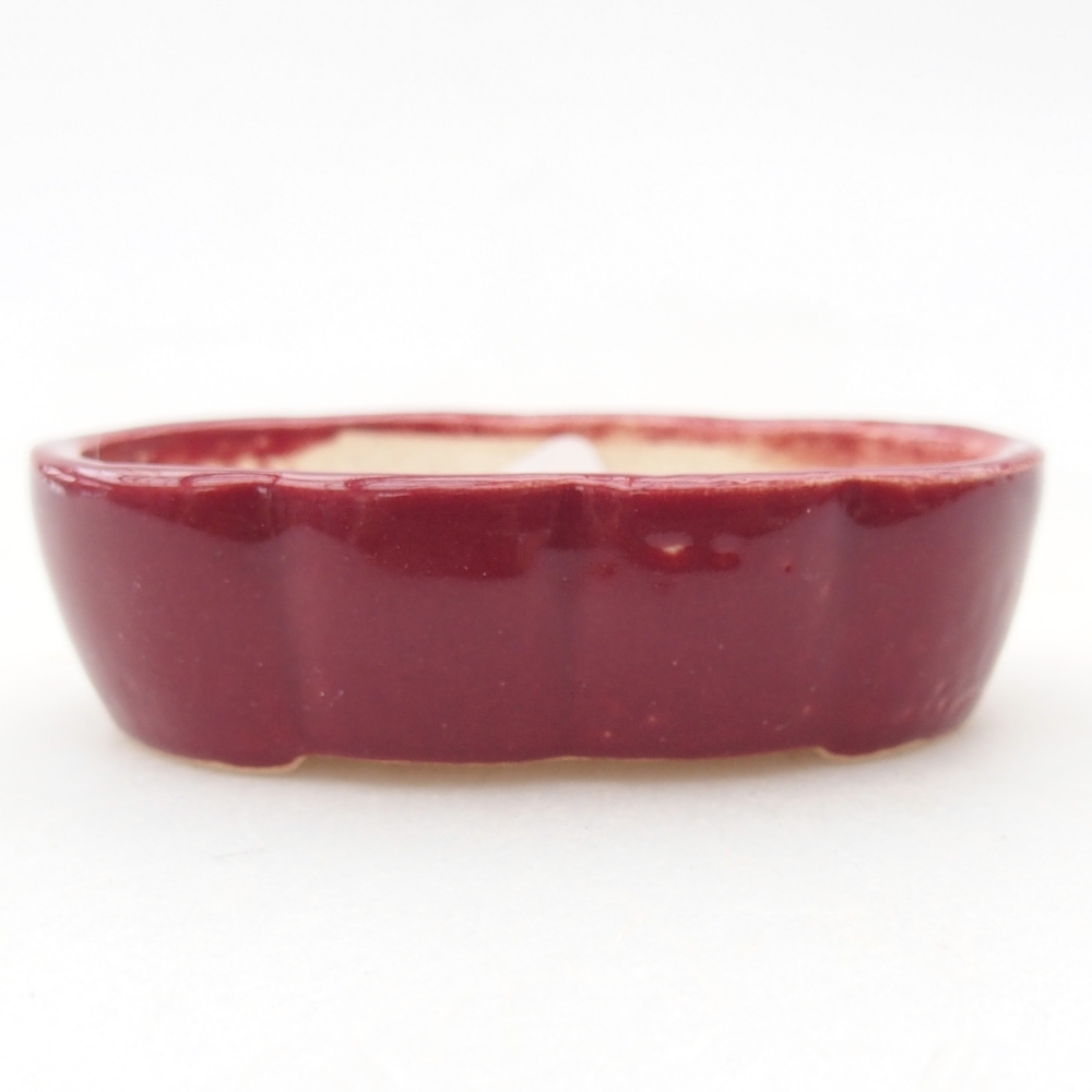 Mini bonsai bowl 5,5 x 3,5 x 1,5 cm, burgundy