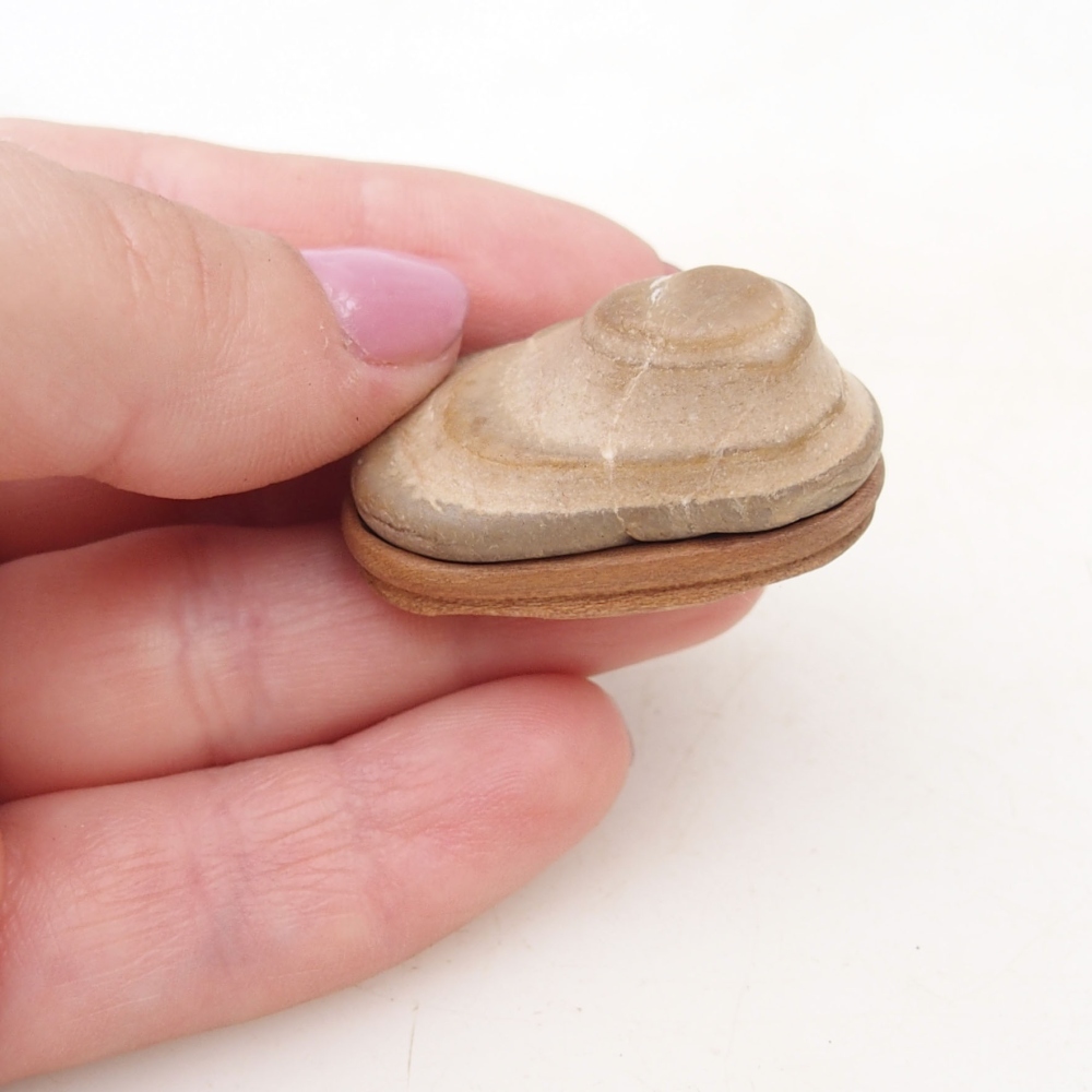 Suiseki - Stone with DAI (wooden pad)