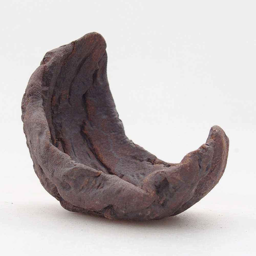 Ceramic Shell 6,5 x 6 x 7,5 cm , colour brown