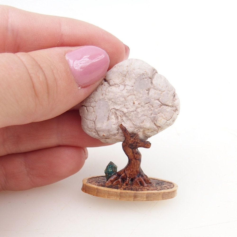 Suiseki - Stone with DAI (wooden pad)