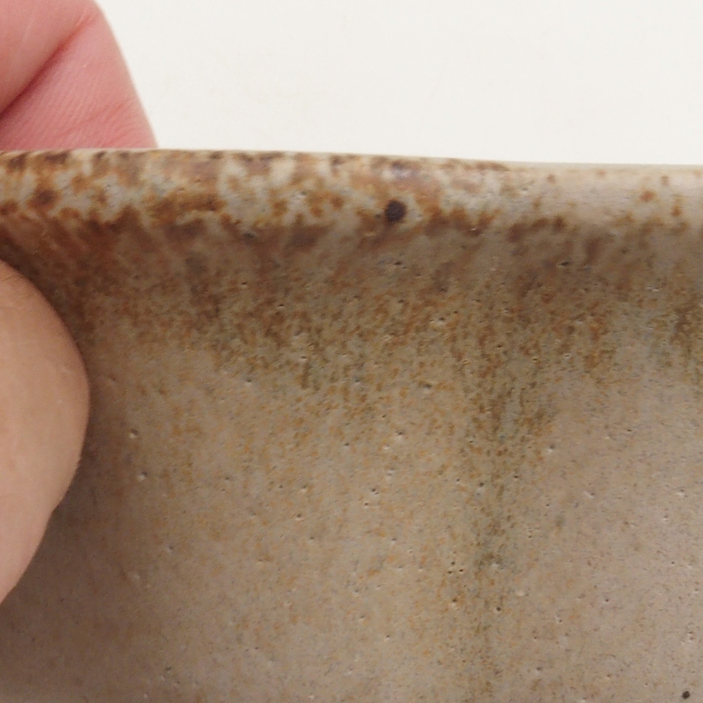 Bonsai bowl H16 - 14.5 x 14.5 x 5 cm. - beige