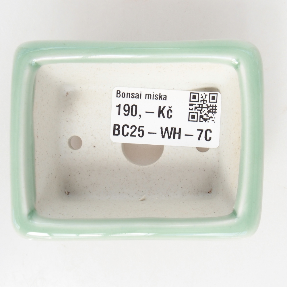 Mini bonsai bowl 8 x 6 x 3 cm, green