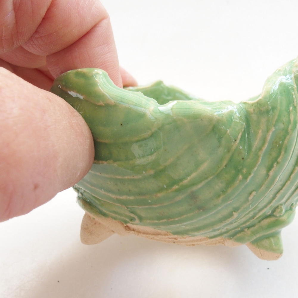 Ceramic shell 7 x 7 x 5,5 cm, color green
