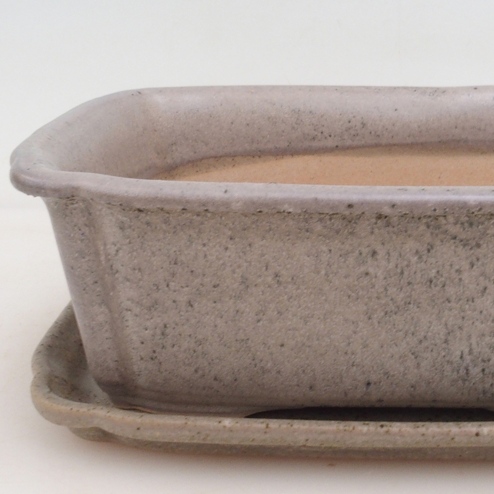 Bonsai bowl + bowl H50 - beige
