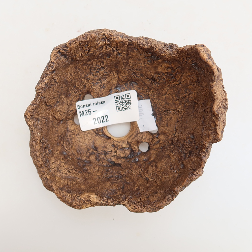 Ceramic Shell, 9 x 9 x 8.5 cm, brown