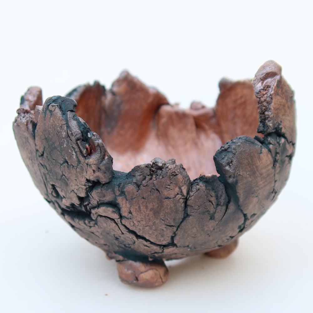 Ceramic Shell  11 x 11 x 8 cm, green