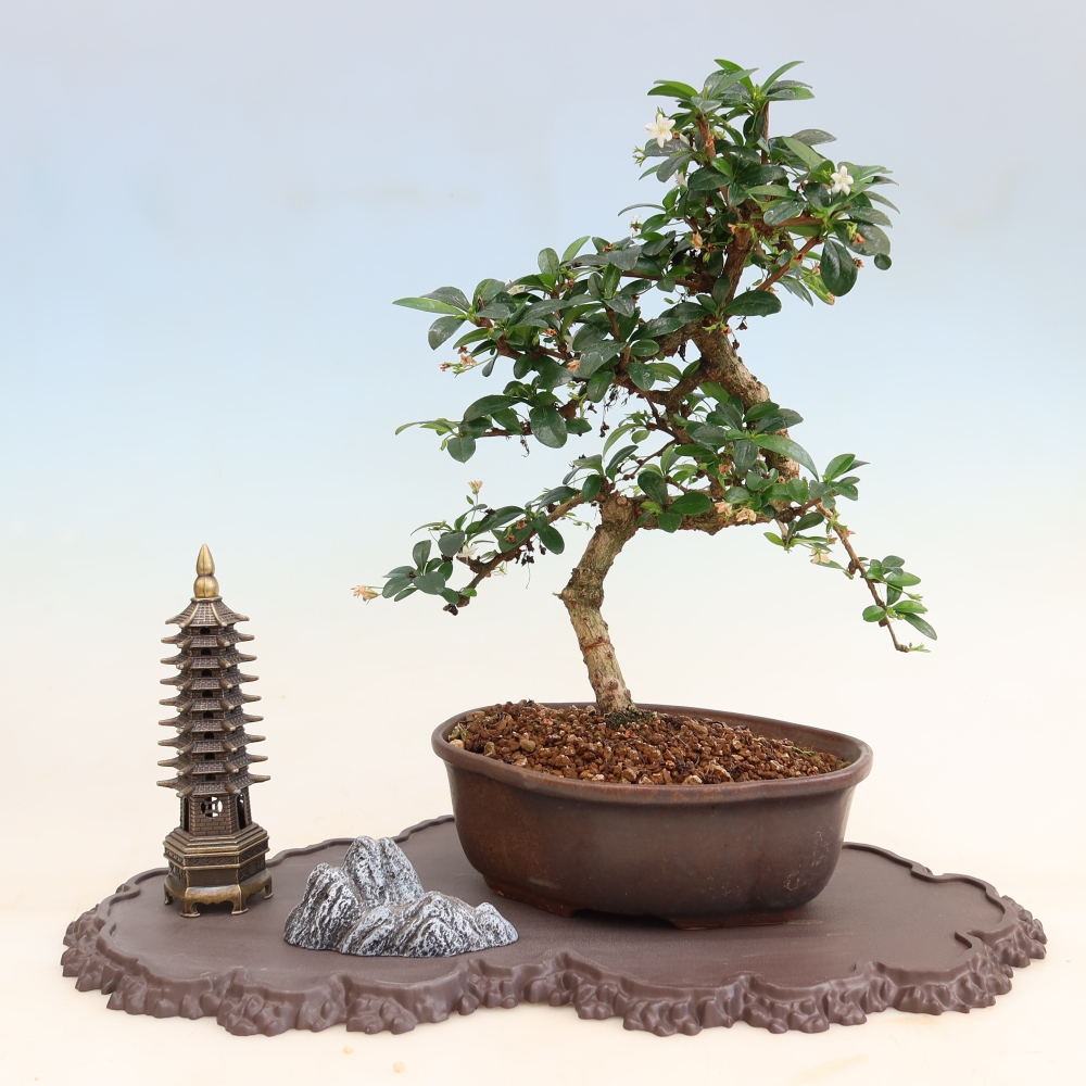 Plastic bonsai stand, 43 x 25 x 1.5 cm, brown