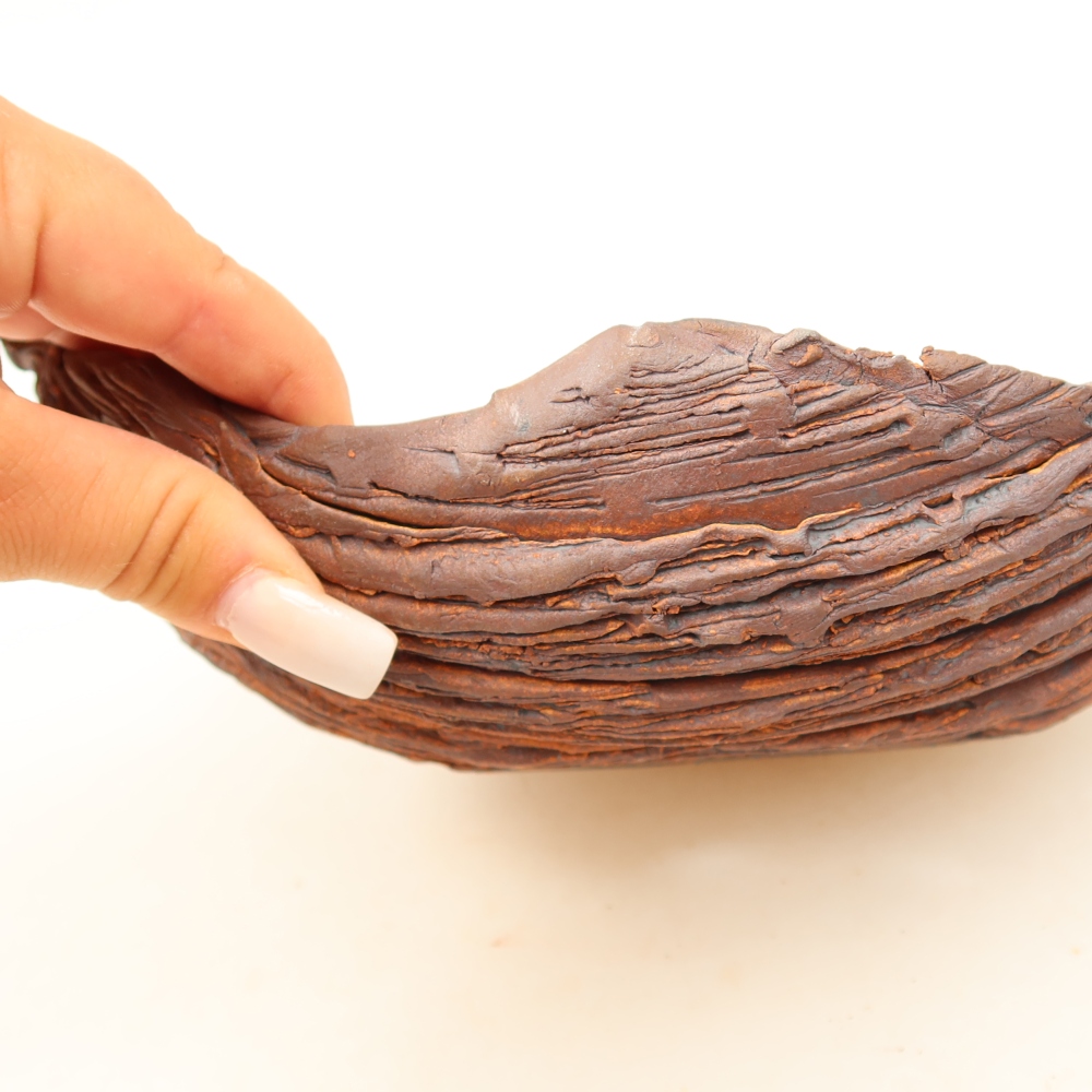 Ceramic Shell  22.5 x 16 x 8 cm, brown