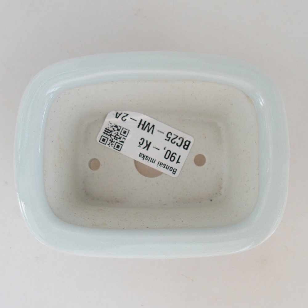 Mini bonsai bowl 10 x 7,5 x 4 cm, colour white