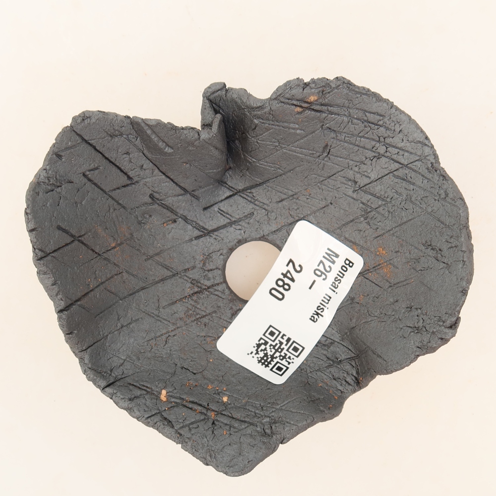 Ceramic Shell, 9 x 9 x 5 cm, metallic color