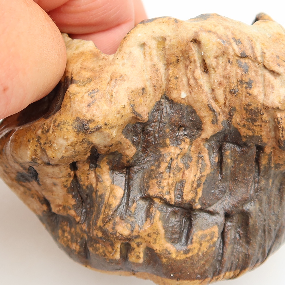 Ceramic Eggshell  5.5 x 5.5 x 6 cm, brown
