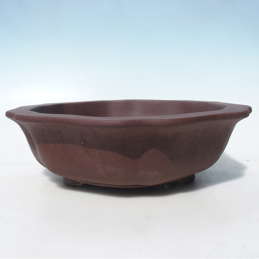Bonsai bowl 39 x 39 x 11,5 cm birch brown