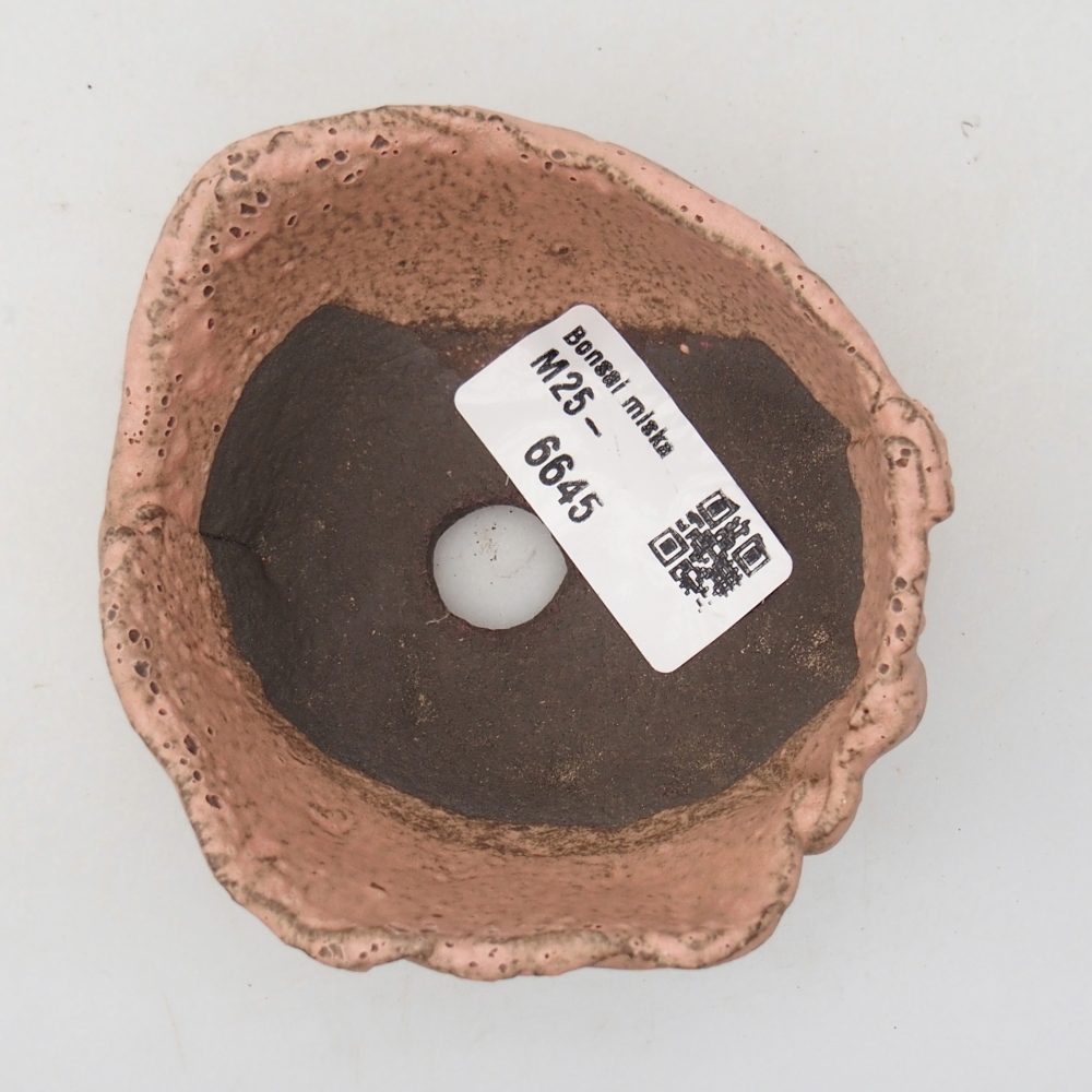 Ceramic Shell 9 x 8 x 4 cm , colour pink