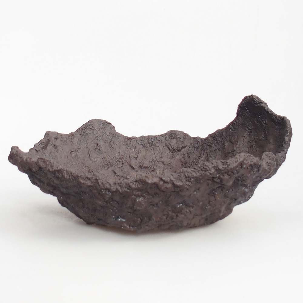 Ceramic shell 19 x 15 x 14 cm , colour brown